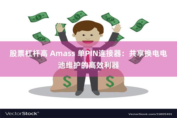 股票杠杆高 Amass 单PIN连接器：共享换电电池维护的高效利器
