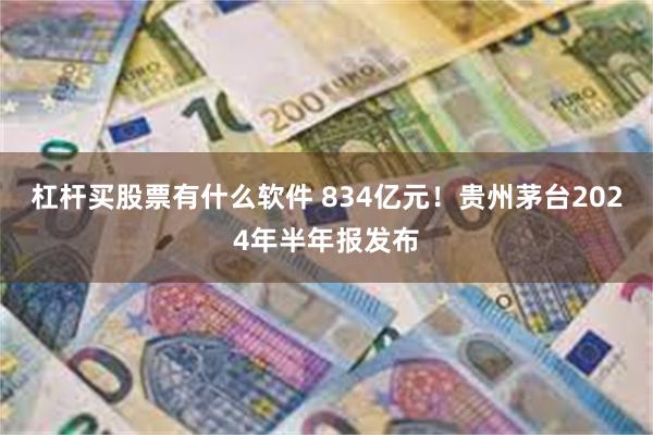 杠杆买股票有什么软件 834亿元！贵州茅台2024年半年报发布