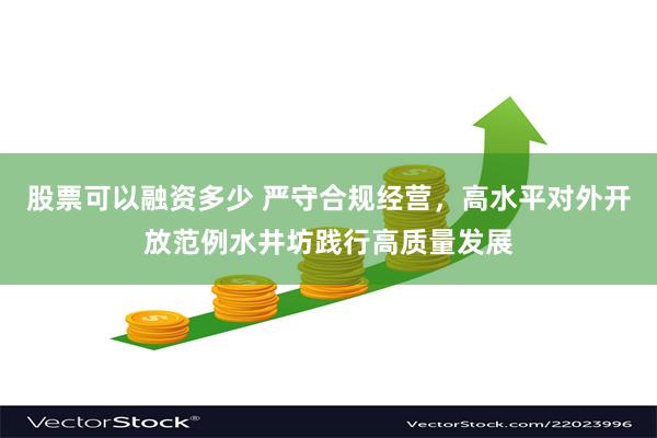 股票可以融资多少 严守合规经营，高水平对外开放范例水井坊践行高质量发展