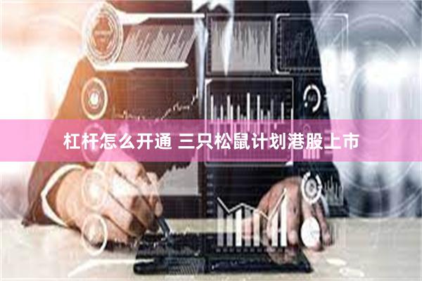 杠杆怎么开通 三只松鼠计划港股上市