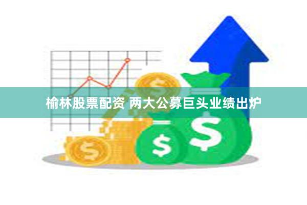 榆林股票配资 两大公募巨头业绩出炉