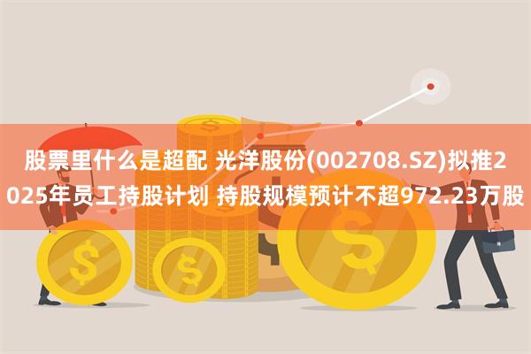 股票里什么是超配 光洋股份(002708.SZ)拟推2025年员工持股计划 持股规模预计不超972.23万股