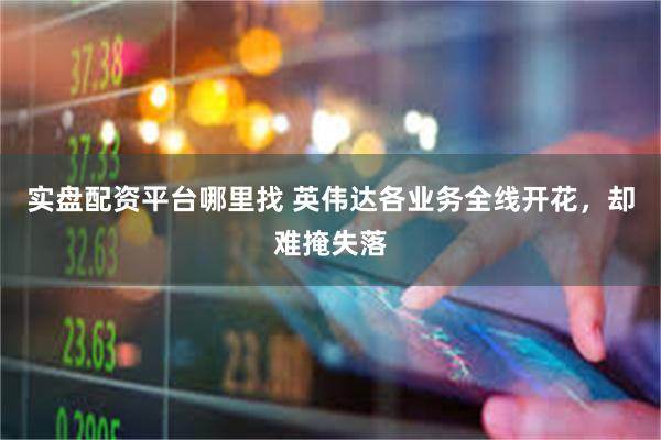实盘配资平台哪里找 英伟达各业务全线开花，却难掩失落