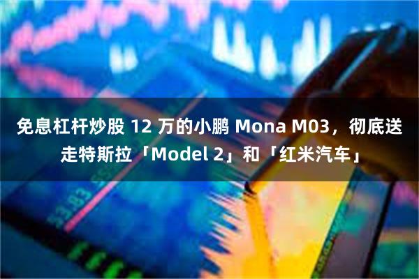 免息杠杆炒股 12 万的小鹏 Mona M03，彻底送走特斯拉「Model 2」和「红米汽车」