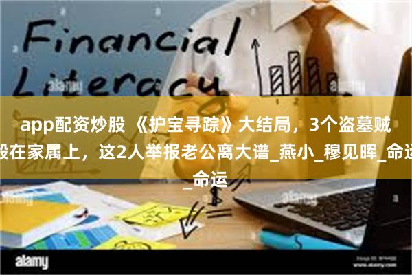 app配资炒股 《护宝寻踪》大结局，3个盗墓贼毁在家属上，这2人举报老公离大谱_燕小_穆见晖_命运