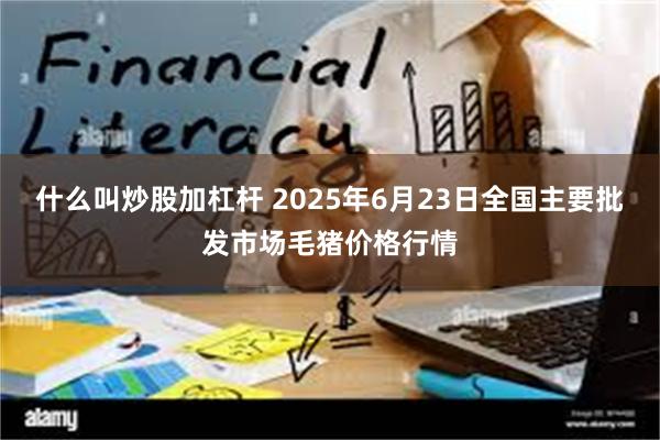 什么叫炒股加杠杆 2025年6月23日全国主要批发市场毛猪价格行情