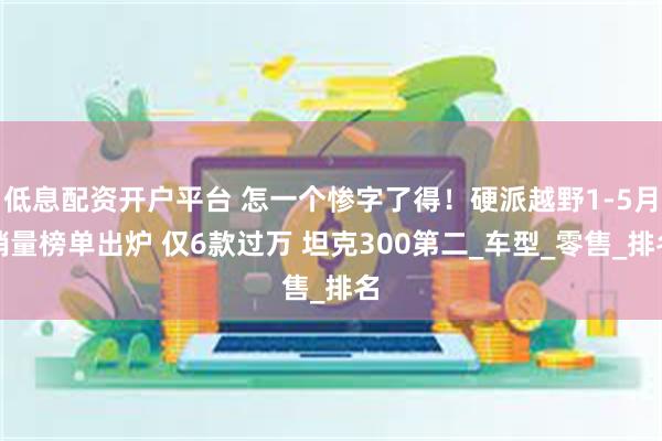 低息配资开户平台 怎一个惨字了得！硬派越野1-5月销量榜单出炉 仅6款过万 坦克300第二_车型_零售_排名