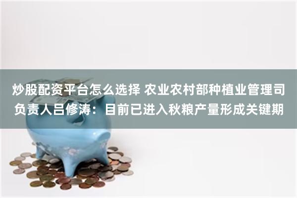 炒股配资平台怎么选择 农业农村部种植业管理司负责人吕修涛：目前已进入秋粮产量形成关键期