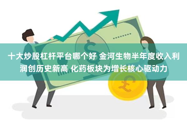 十大炒股杠杆平台哪个好 金河生物半年度收入利润创历史新高 化药板块为增长核心驱动力