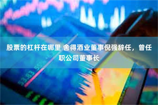 股票的杠杆在哪里 舍得酒业董事倪强辞任，曾任职公司董事长