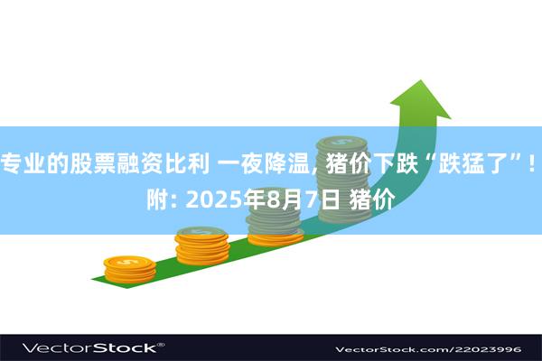 专业的股票融资比利 一夜降温, 猪价下跌“跌猛了”! 附: 2025年8月7日 猪价