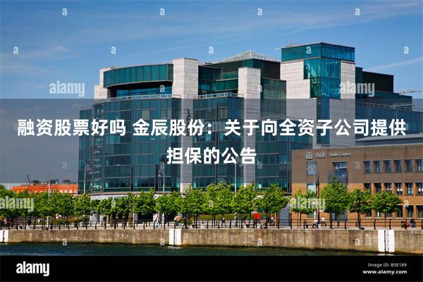 融资股票好吗 金辰股份：关于向全资子公司提供担保的公告